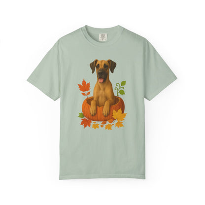 Great Dane Pumpkin Shirt, Fall Dog Lover Tee on Comfort Colors 1717