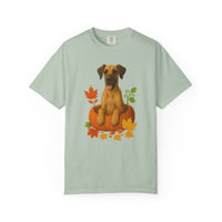 Load image into Gallery viewer, Great Dane Pumpkin Shirt, Fall Dog Lover Tee on Comfort Colors 1717
