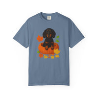 Load image into Gallery viewer, Dachshund in Pumpkin Fall Shirt, Cute Autumn Wiener Dog Tee for Dog Lovers

