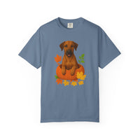 Load image into Gallery viewer, Rhodesian Ridgeback Pumpkin Shirt, Fall Dog Lover Tee on Comfort Colors 1717
