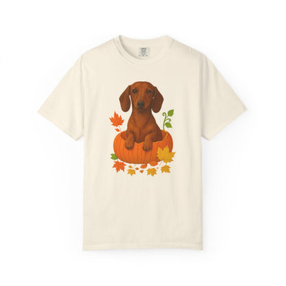 Dachshund in Pumpkin Fall Shirt, Cute Autumn Wiener Dog Tee for Doxie Lovers
