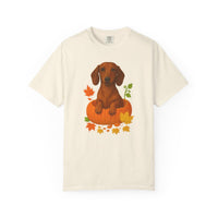Load image into Gallery viewer, Dachshund in Pumpkin Fall Shirt, Cute Autumn Wiener Dog Tee for Doxie Lovers
