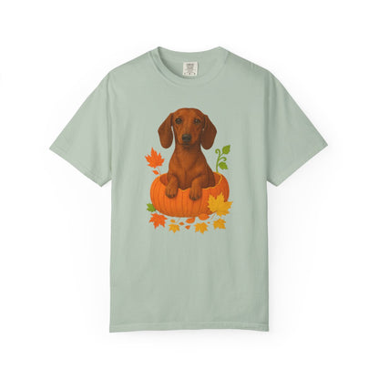 Dachshund in Pumpkin Fall Shirt, Cute Autumn Wiener Dog Tee for Doxie Lovers