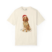 Load image into Gallery viewer, Bracco Italiano Christmas Lights Shirt, Festive Holiday Tee for Bird Dog Lovers

