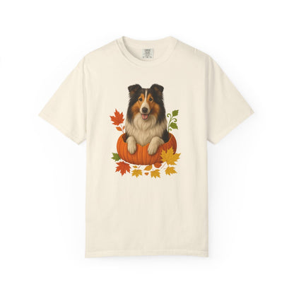 Collie in Pumpkin Fall Shirt, Cute Autumn Dog Tee for Rough Collie Lovers