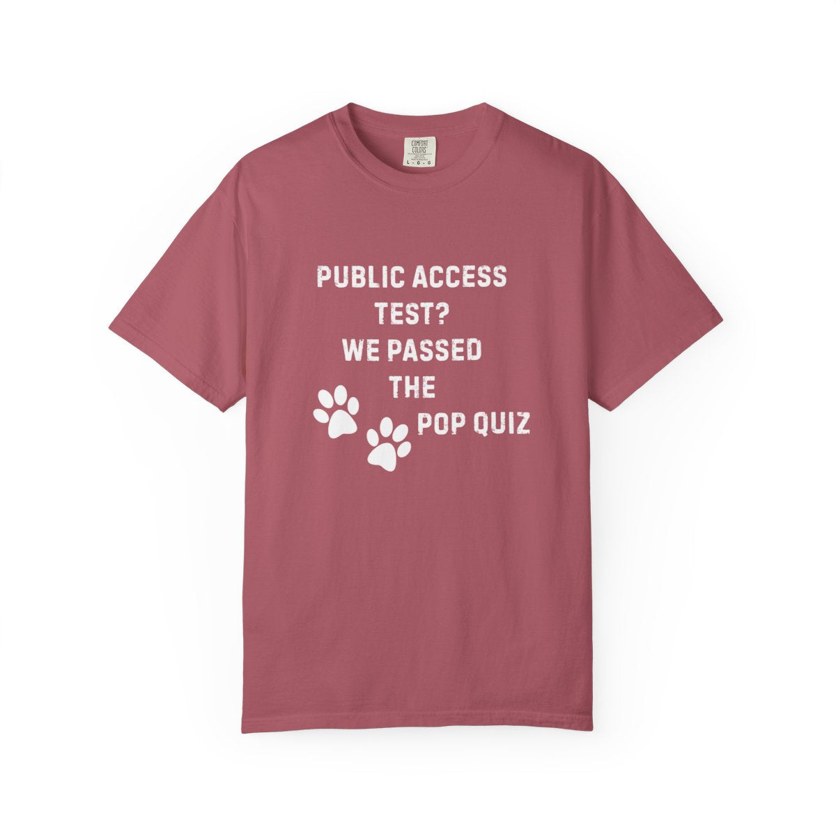 Public Access Test? We Passed the Pop Quiz T-Shirt | Service Dog Handler Tee | Comfort Colors 1717