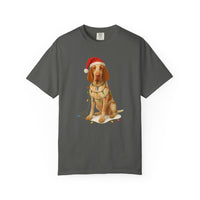 Load image into Gallery viewer, Bracco Italiano Christmas Lights Shirt, Festive Holiday Tee for Bird Dog Lovers

