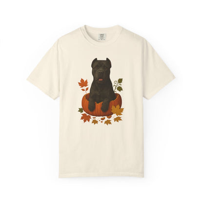 Cane Corso Pumpkin Fall T-Shirt, Cute Autumn Dog Lover Tee & Thanksgiving Gift
