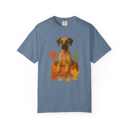 Great Dane Pumpkin Shirt, Fall Dog Lover Tee on Comfort Colors 1717