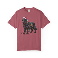 Load image into Gallery viewer, Black Newfoundland Christmas Lights Shirt, Cozy Holiday Tee for Gentle Giant Lovers
