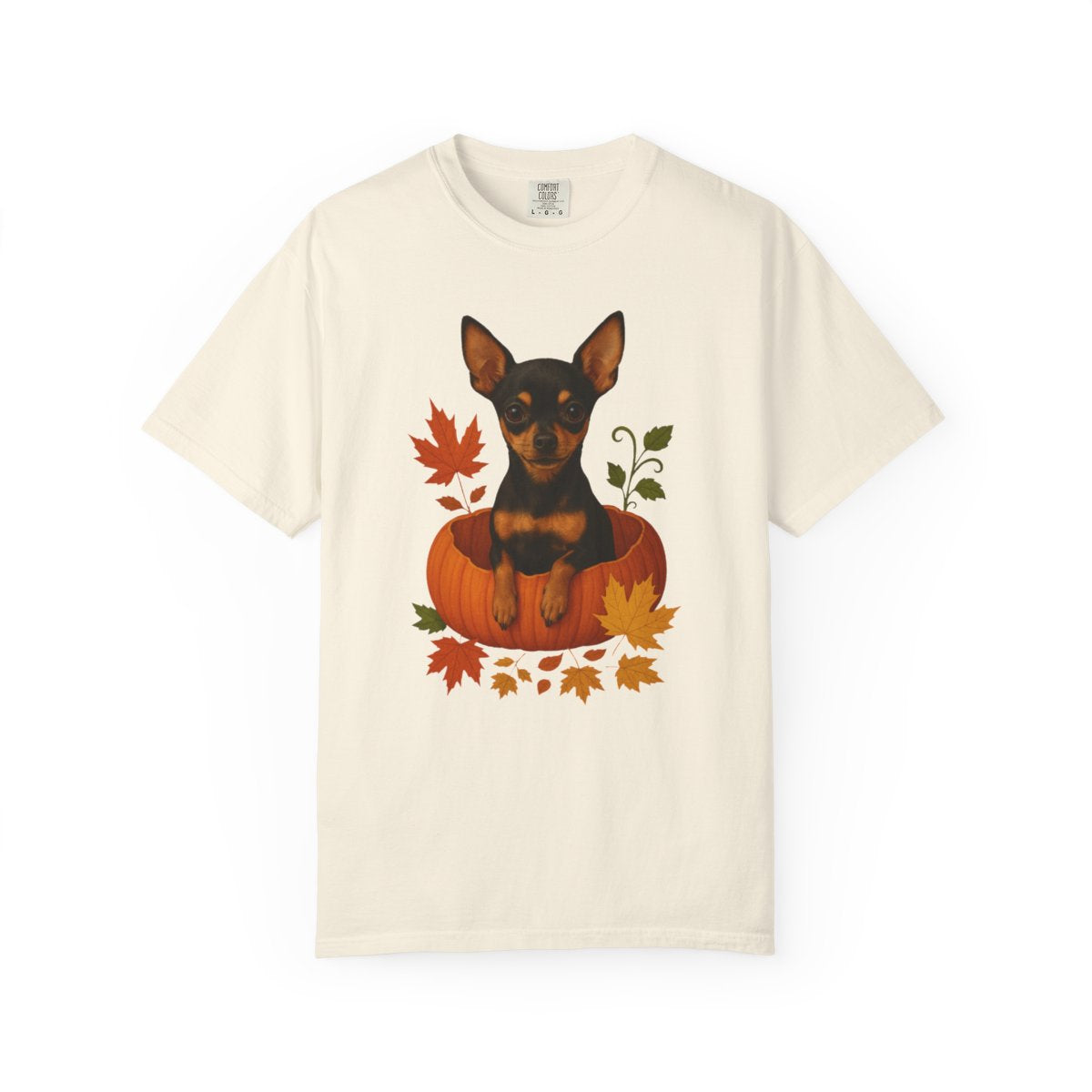 Black and Tan Chihuahua in Pumpkin Fall Shirt, Cute Autumn Dog Tee for Chihuahua Lovers