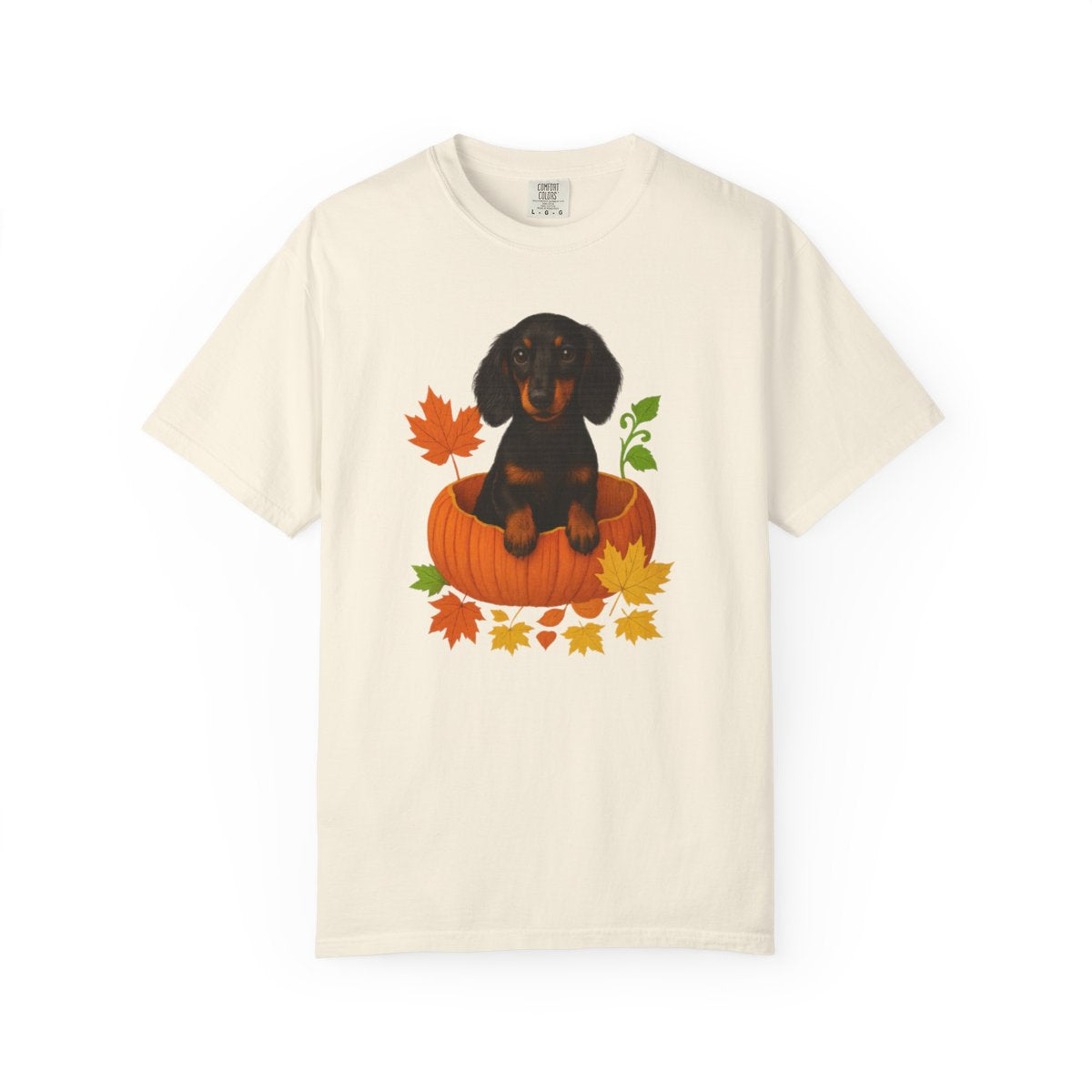 Dachshund in Pumpkin Fall Shirt, Cute Autumn Wiener Dog Tee for Dog Lovers