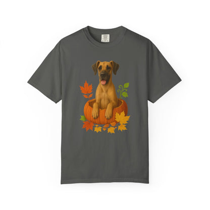 Great Dane Pumpkin Shirt, Fall Dog Lover Tee on Comfort Colors 1717