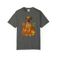 Load image into Gallery viewer, Great Dane Pumpkin Shirt, Fall Dog Lover Tee on Comfort Colors 1717
