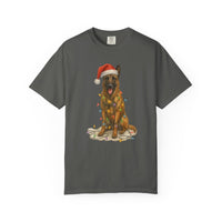 Load image into Gallery viewer, Belgian Malinois Christmas Lights Dog Shirt, Festive Holiday Tee for Malinois Fans
