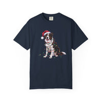 Load image into Gallery viewer, Christmas Border Collie Shirt, Christmas Lights Dog Tee, Christmas Dog Tee, Border Collie Mom Tshirt, Gift for Dog Lover, Border Collie
