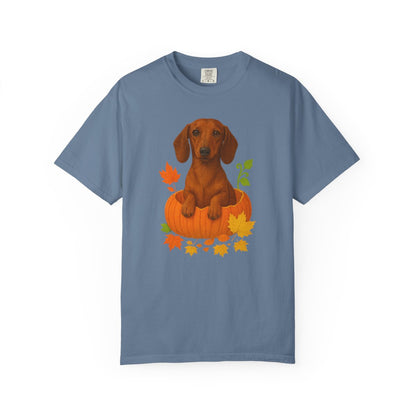 Dachshund in Pumpkin Fall Shirt, Cute Autumn Wiener Dog Tee for Doxie Lovers