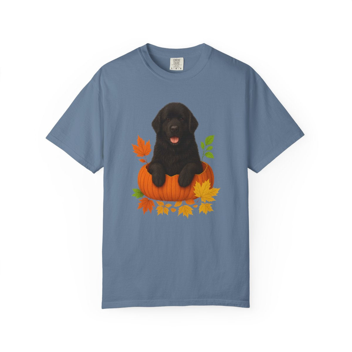 Black Newfoundland Pumpkin Shirt, Fall Dog Lover Tee on Comfort Colors 1717