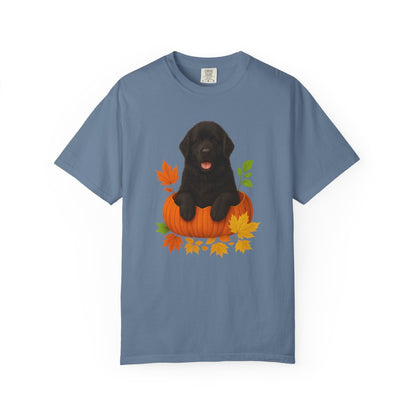 Black Newfoundland Pumpkin Shirt, Fall Dog Lover Tee on Comfort Colors 1717