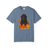 Load image into Gallery viewer, Black Newfoundland Pumpkin Shirt, Fall Dog Lover Tee on Comfort Colors 1717
