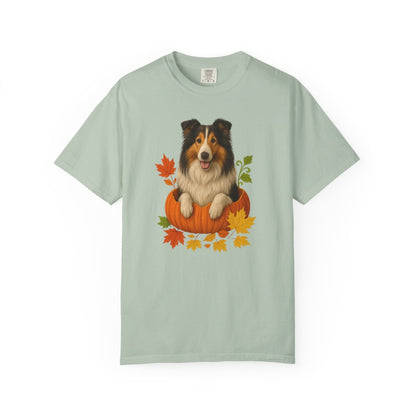 Collie in Pumpkin Fall Shirt, Cute Autumn Dog Tee for Rough Collie Lovers
