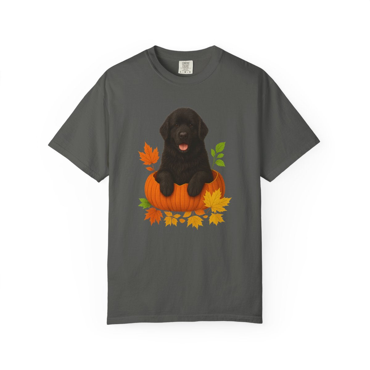 Black Newfoundland Pumpkin Shirt, Fall Dog Lover Tee on Comfort Colors 1717
