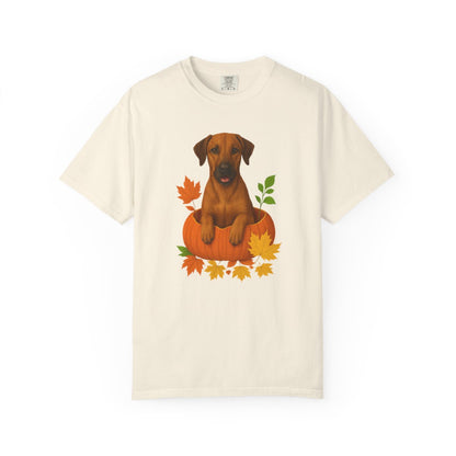 Rhodesian Ridgeback Pumpkin Shirt, Fall Dog Lover Tee on Comfort Colors 1717