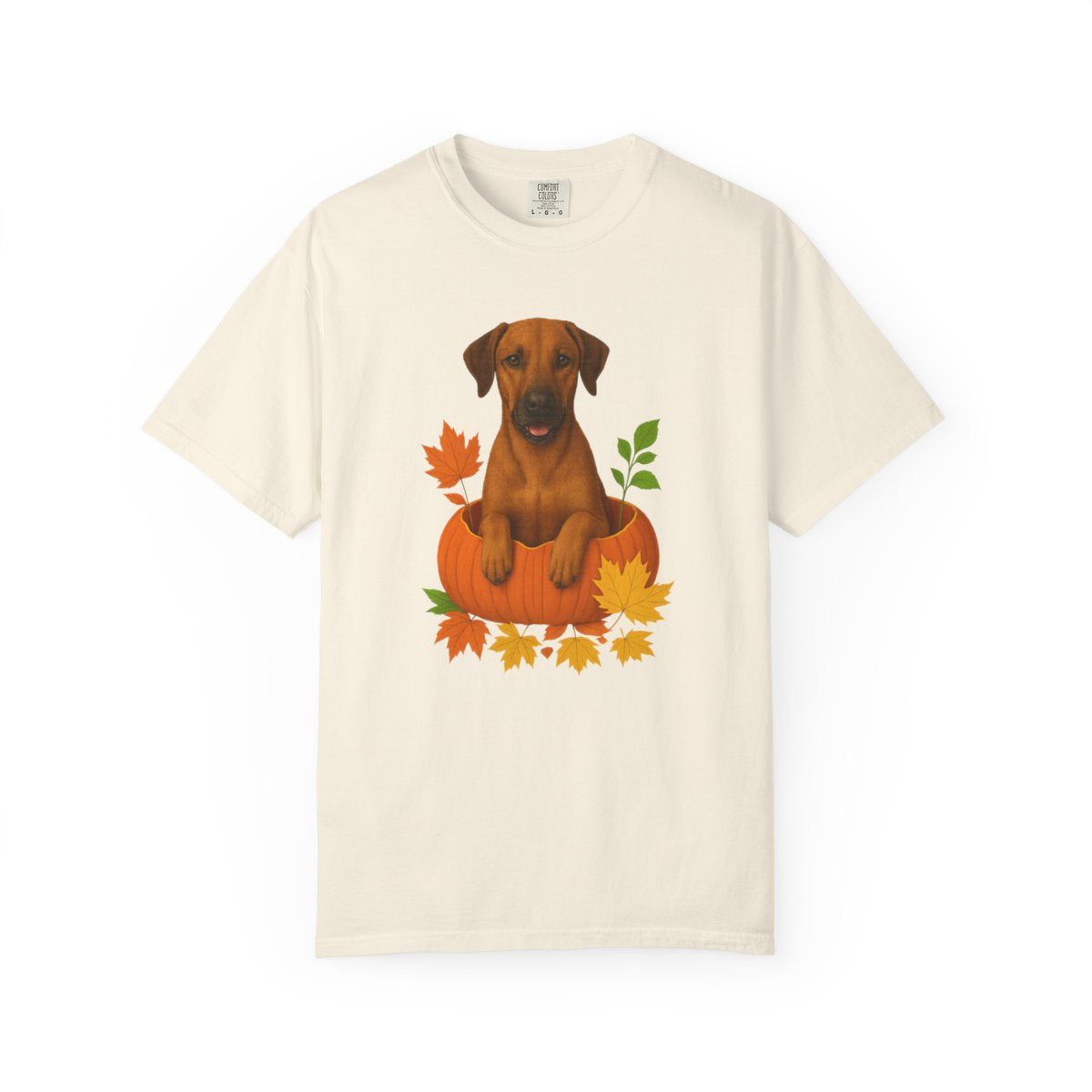 Rhodesian Ridgeback Pumpkin Shirt, Fall Dog Lover Tee on Comfort Colors 1717