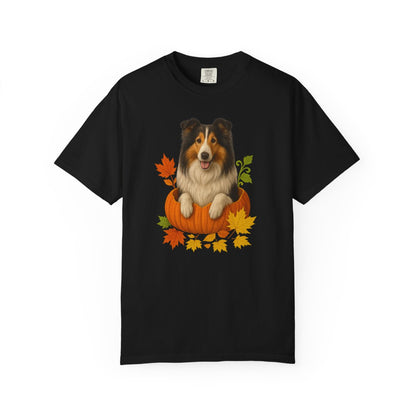 Collie in Pumpkin Fall Shirt, Cute Autumn Dog Tee for Rough Collie Lovers