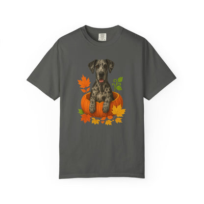 Merle Great Dane Pumpkin Shirt, Fall Dog Lover Tee on Comfort Colors 1717