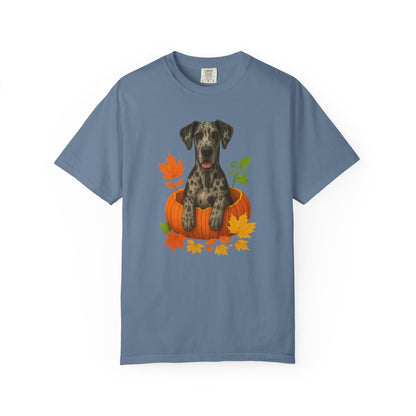 Merle Great Dane Pumpkin Shirt, Fall Dog Lover Tee on Comfort Colors 1717