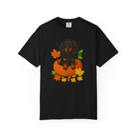 Load image into Gallery viewer, Dachshund in Pumpkin Fall Shirt, Cute Autumn Wiener Dog Tee for Dog Lovers
