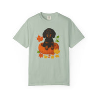 Load image into Gallery viewer, Dachshund in Pumpkin Fall Shirt, Cute Autumn Wiener Dog Tee for Dog Lovers
