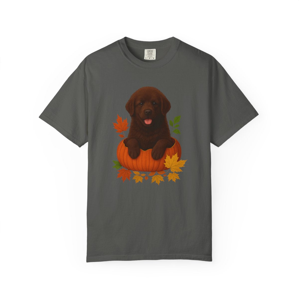 Brown Newfoundland Pumpkin Shirt, Fall Dog Lover Tee on Comfort Colors 1717