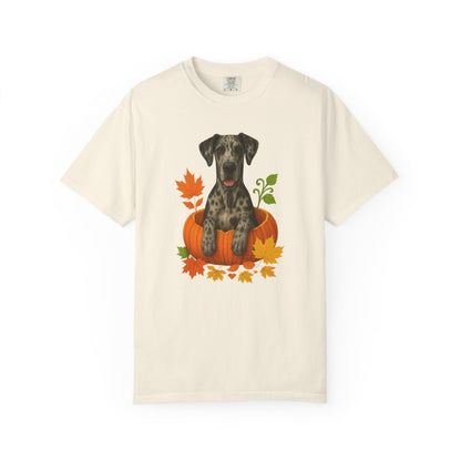 Merle Great Dane Pumpkin Shirt, Fall Dog Lover Tee on Comfort Colors 1717