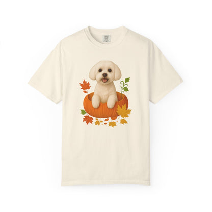Maltese in Pumpkin Fall Shirt, Cute Autumn Dog Tee for Maltese Moms and Pet Lovers
