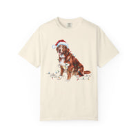 Load image into Gallery viewer, Christmas Nova Scotia Duck Tolling Retriever Shirt, Christmas Lights Dog Tee, Christmas Dog Tee, Retriever Mom Tshirt, Gift for Dog Lover
