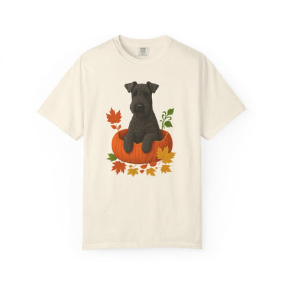 Kerry Blue Terrier in Pumpkin Fall Shirt, Cute Autumn Dog Tee for Terrier Lovers