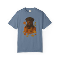 Load image into Gallery viewer, Rottweiler Pumpkin Fall T-Shirt, Cute Autumn Dog Lover Tee &amp; Thanksgiving Gift
