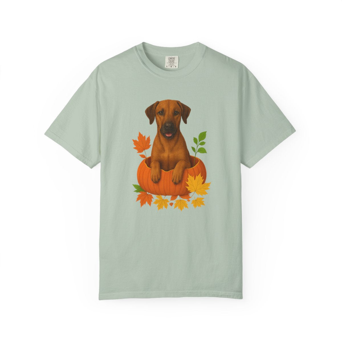 Rhodesian Ridgeback Pumpkin Shirt, Fall Dog Lover Tee on Comfort Colors 1717