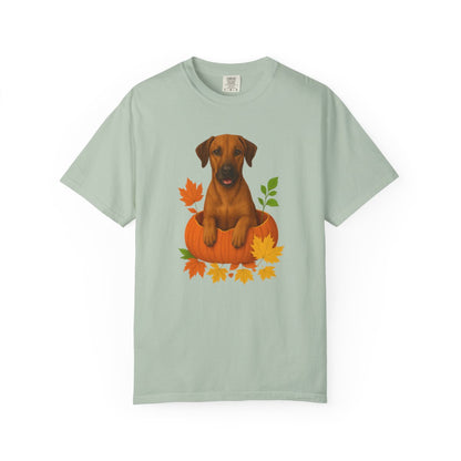 Rhodesian Ridgeback Pumpkin Shirt, Fall Dog Lover Tee on Comfort Colors 1717