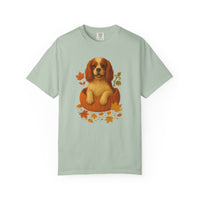 Load image into Gallery viewer, Cavalier King Charles in Pumpkin Fall Shirt, Cute Autumn Dog Tee for Cavalier Moms
