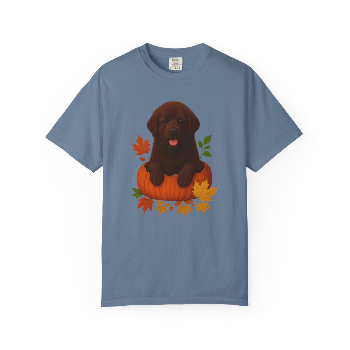 Brown Newfoundland Pumpkin Shirt, Fall Dog Lover Tee on Comfort Colors 1717