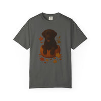 Load image into Gallery viewer, Chocolate Lab in Pumpkin Fall Dog Shirt, Autumn Labrador Tee for Dog Moms &amp; Pet Lovers

