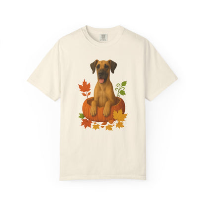 Great Dane Pumpkin Shirt, Fall Dog Lover Tee on Comfort Colors 1717