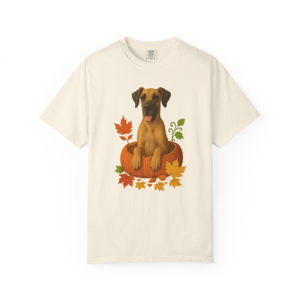 Great Dane Pumpkin Shirt, Fall Dog Lover Tee on Comfort Colors 1717