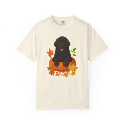 Black Newfoundland Pumpkin Shirt, Fall Dog Lover Tee on Comfort Colors 1717