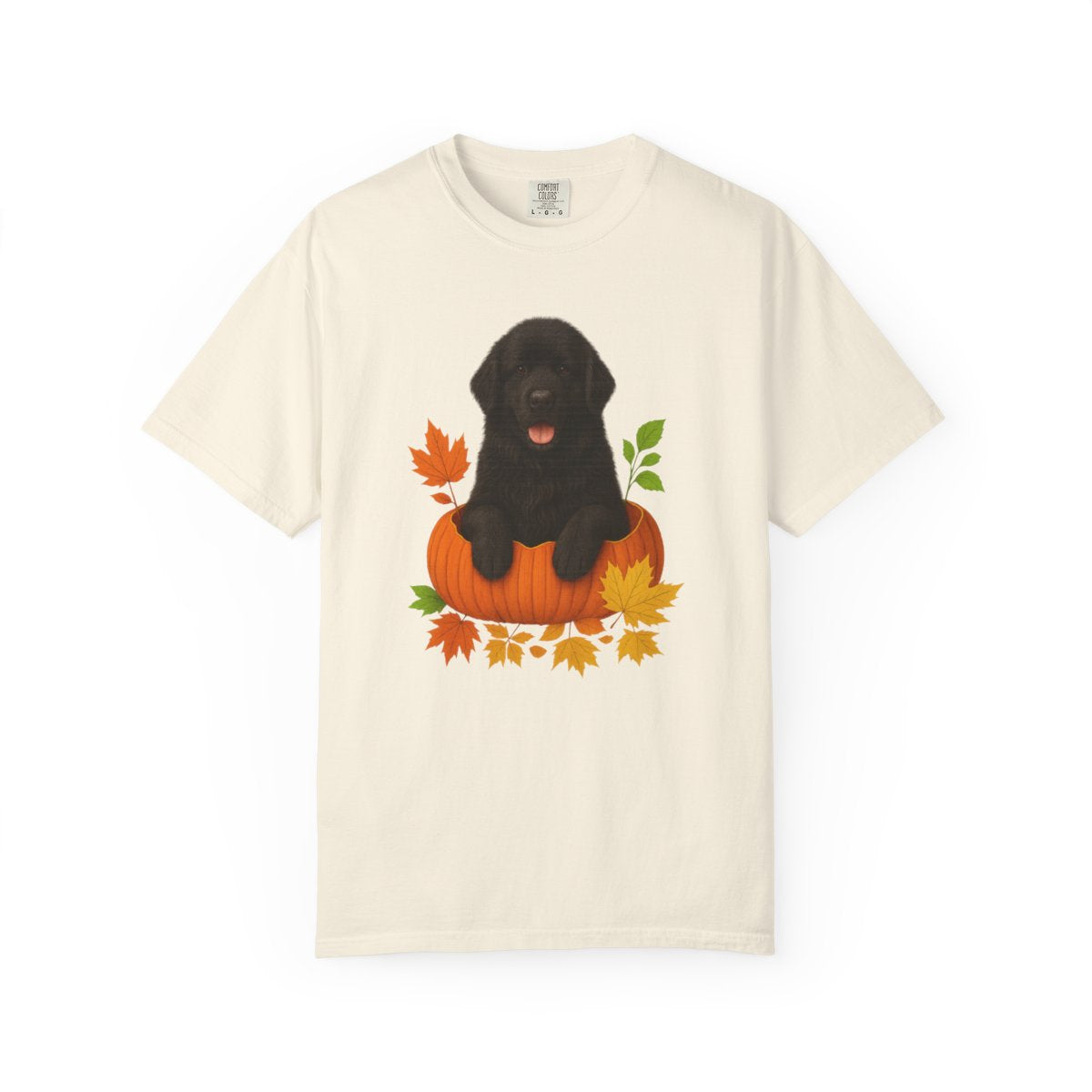 Black Newfoundland Pumpkin Shirt, Fall Dog Lover Tee on Comfort Colors 1717