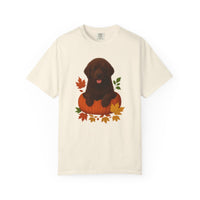 Load image into Gallery viewer, Brown Newfoundland Pumpkin Shirt, Fall Dog Lover Tee on Comfort Colors 1717
