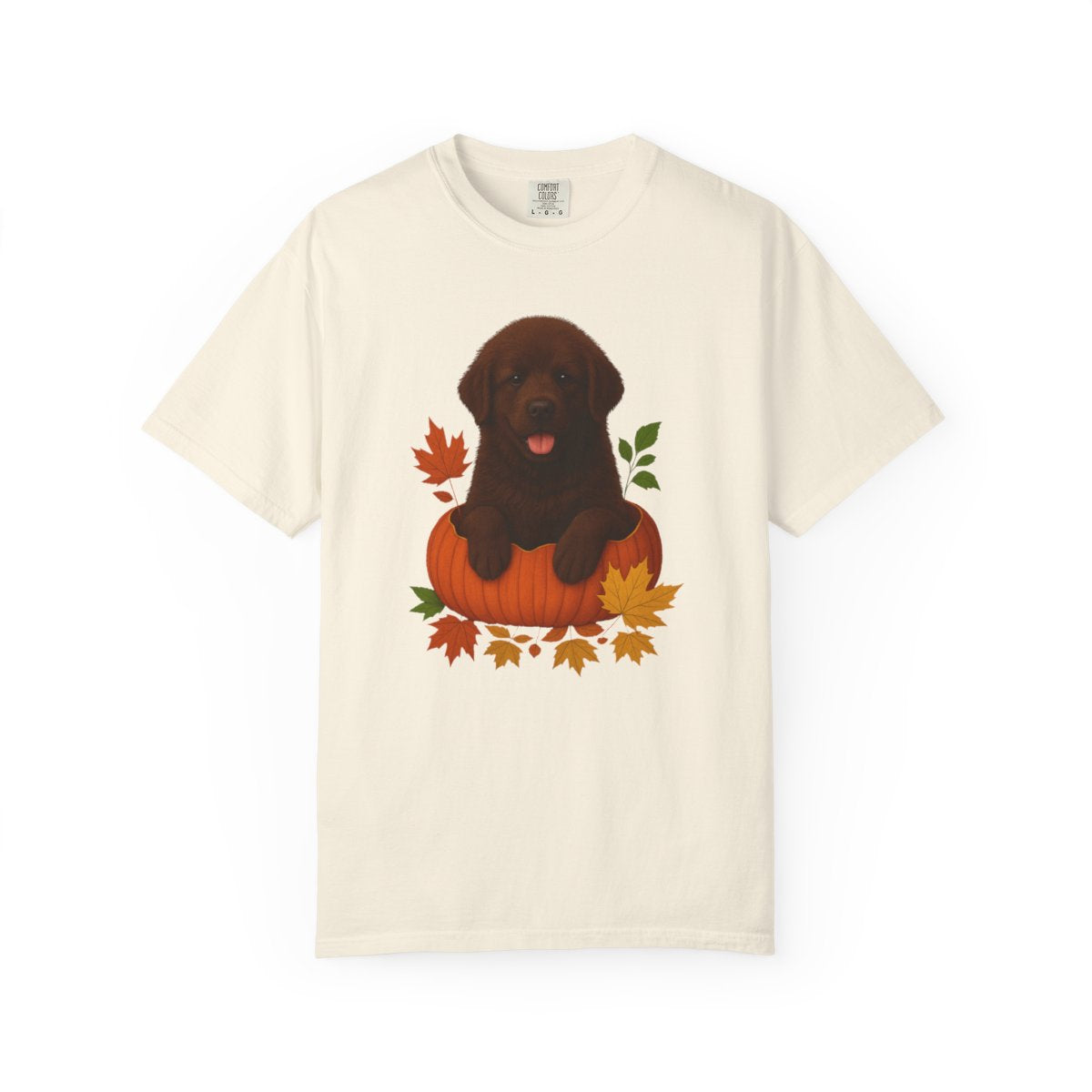 Brown Newfoundland Pumpkin Shirt, Fall Dog Lover Tee on Comfort Colors 1717